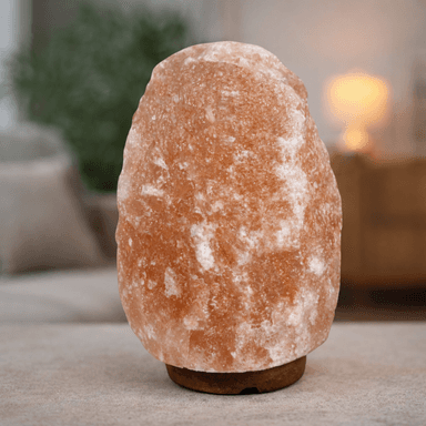 Lampa Procart sare Himalaya, 4-5 kg, intrerupator on/off, suport lemn