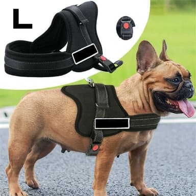 Ham pentru caini Senior Dog L (70-90cm)
