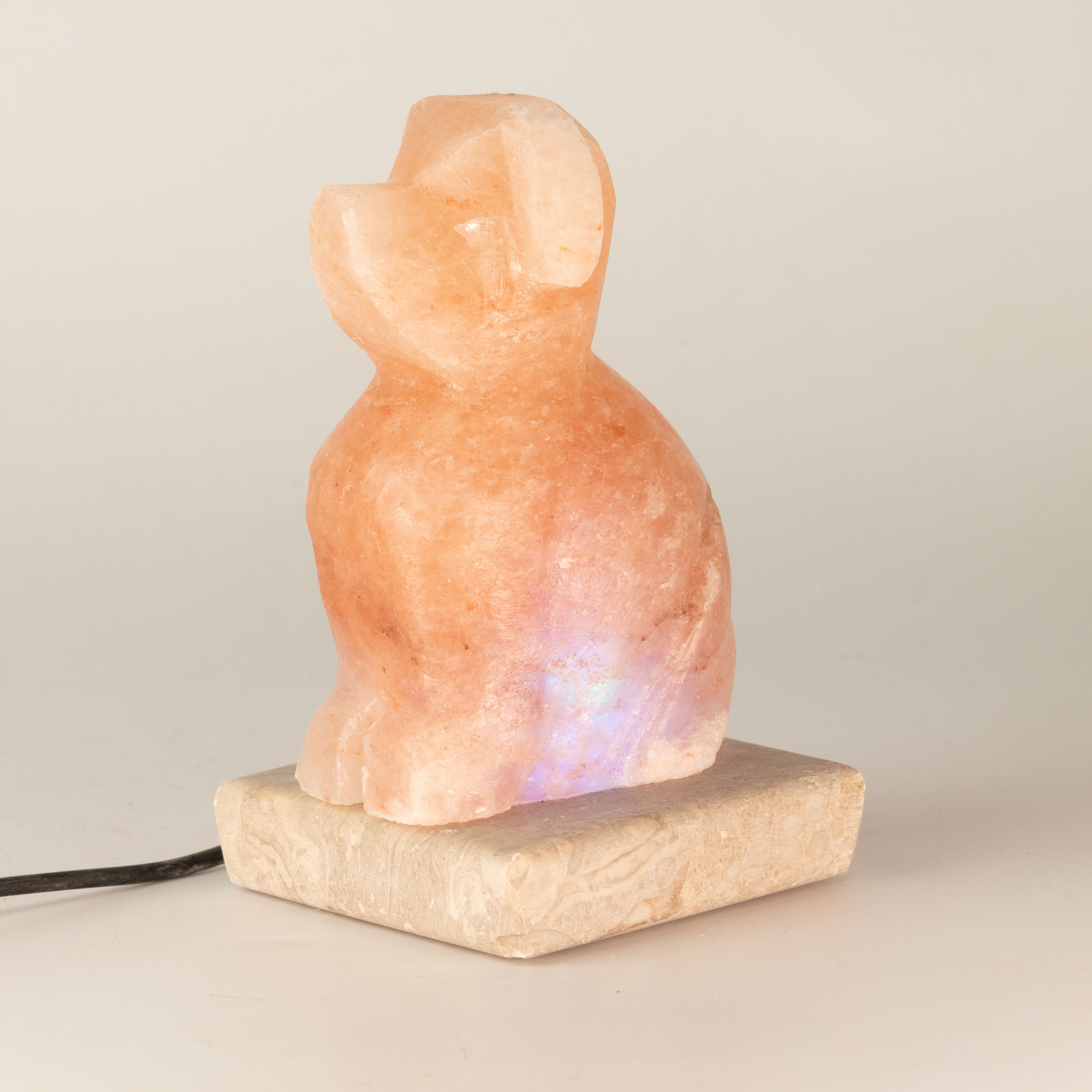 USB în formă de câine (Multi) — imagine 1