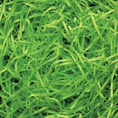 Harta macinata foarte fin - Lime Green (0.5KG)
