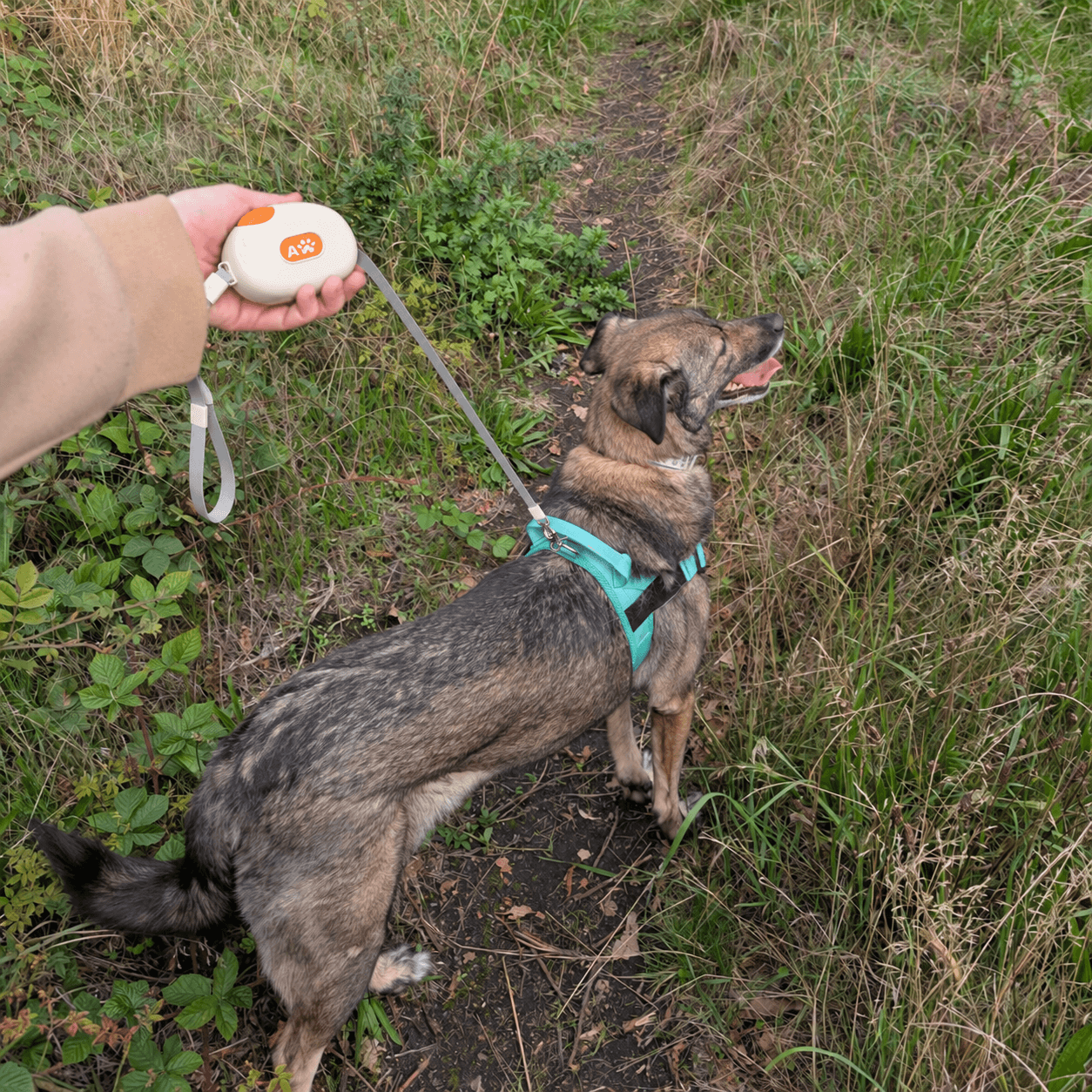 Leash Paw Pet Pocket Pod - Alb - 1.5m — imagine 1