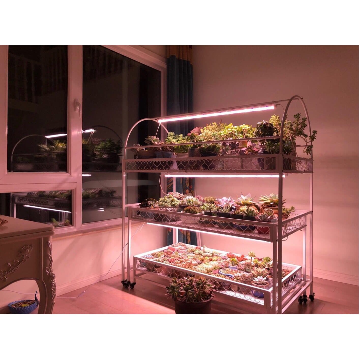 Lampa dubla pentru cresterea plantelor Flippy 50 cm T5 LED Alb cald — imagine 4