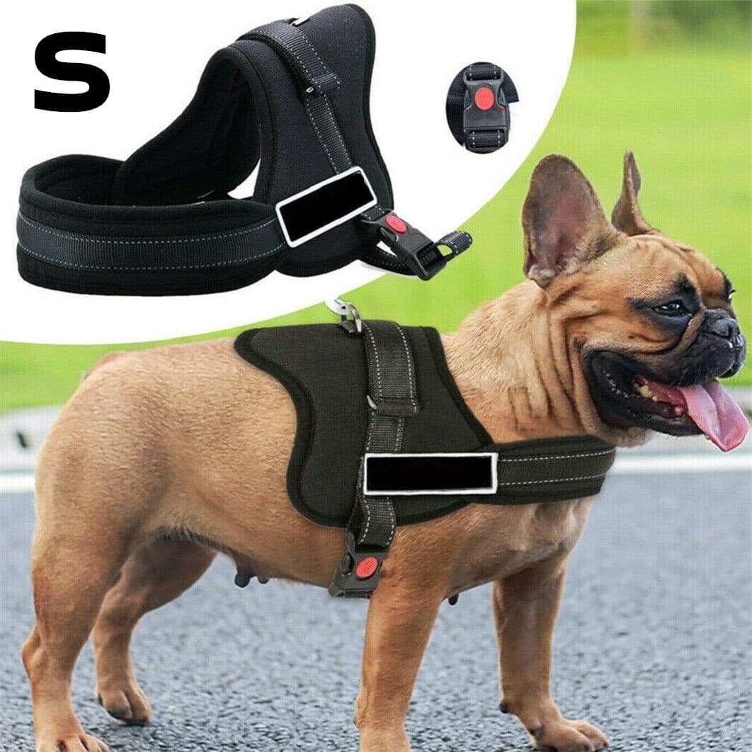 Ham pentru caini SENIOR DOG S (60 - 75cm) — imagine 1
