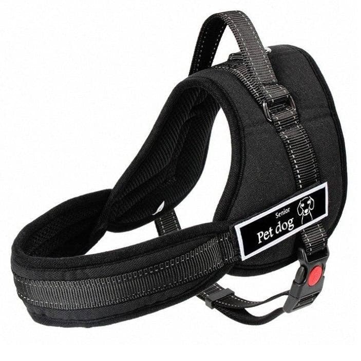 Ham pentru caini SENIOR DOG S (60 - 75cm) — imagine 2