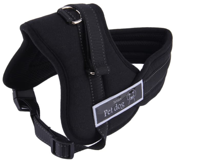 Ham pentru caini SENIOR DOG S (60 - 75cm) — imagine 3